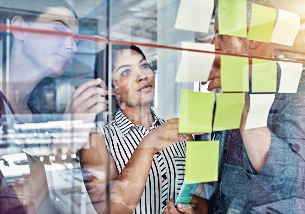 organisations can build into programme design