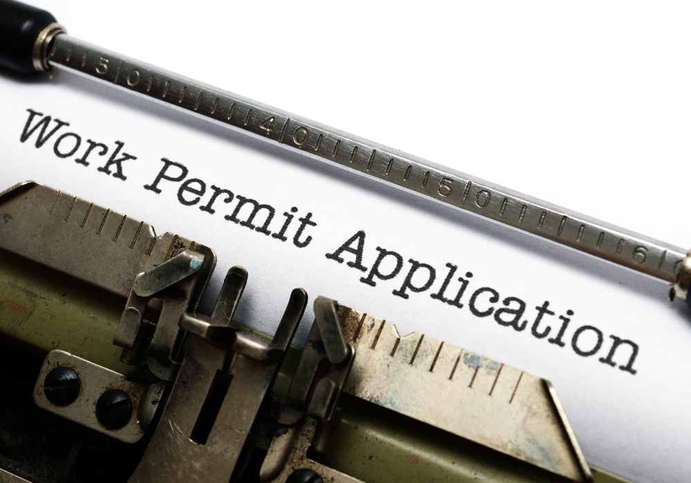 Moveplus relocation UAE work permit for international employees