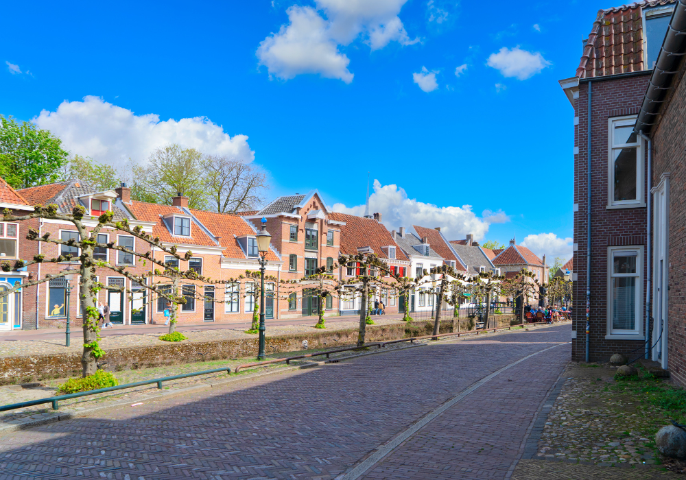 Work permits for the Netherlands: a guide for international employees