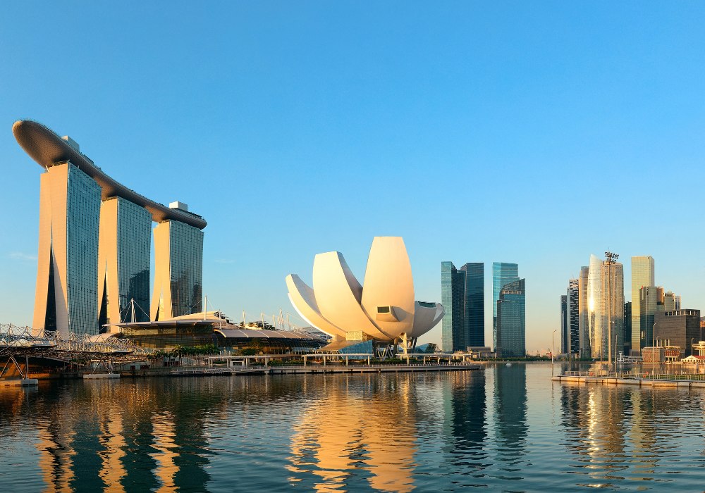 moveplus relocation to singapore