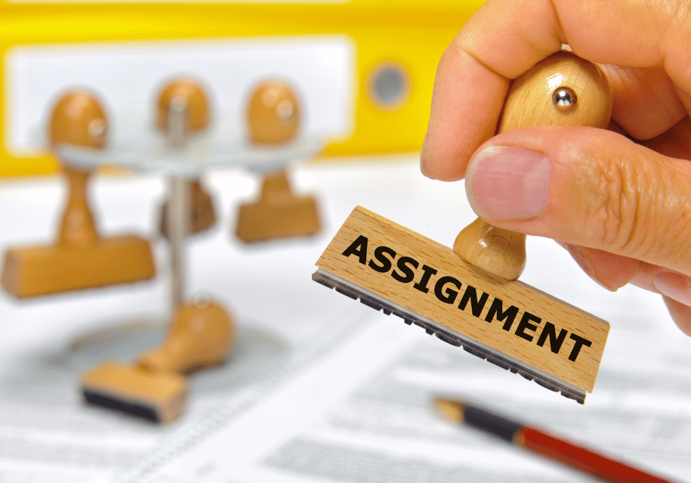 nternational assignments