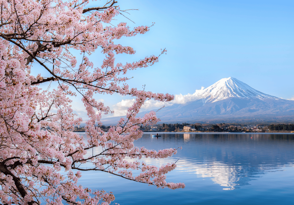 moveplus relocation employee relocating to Japan